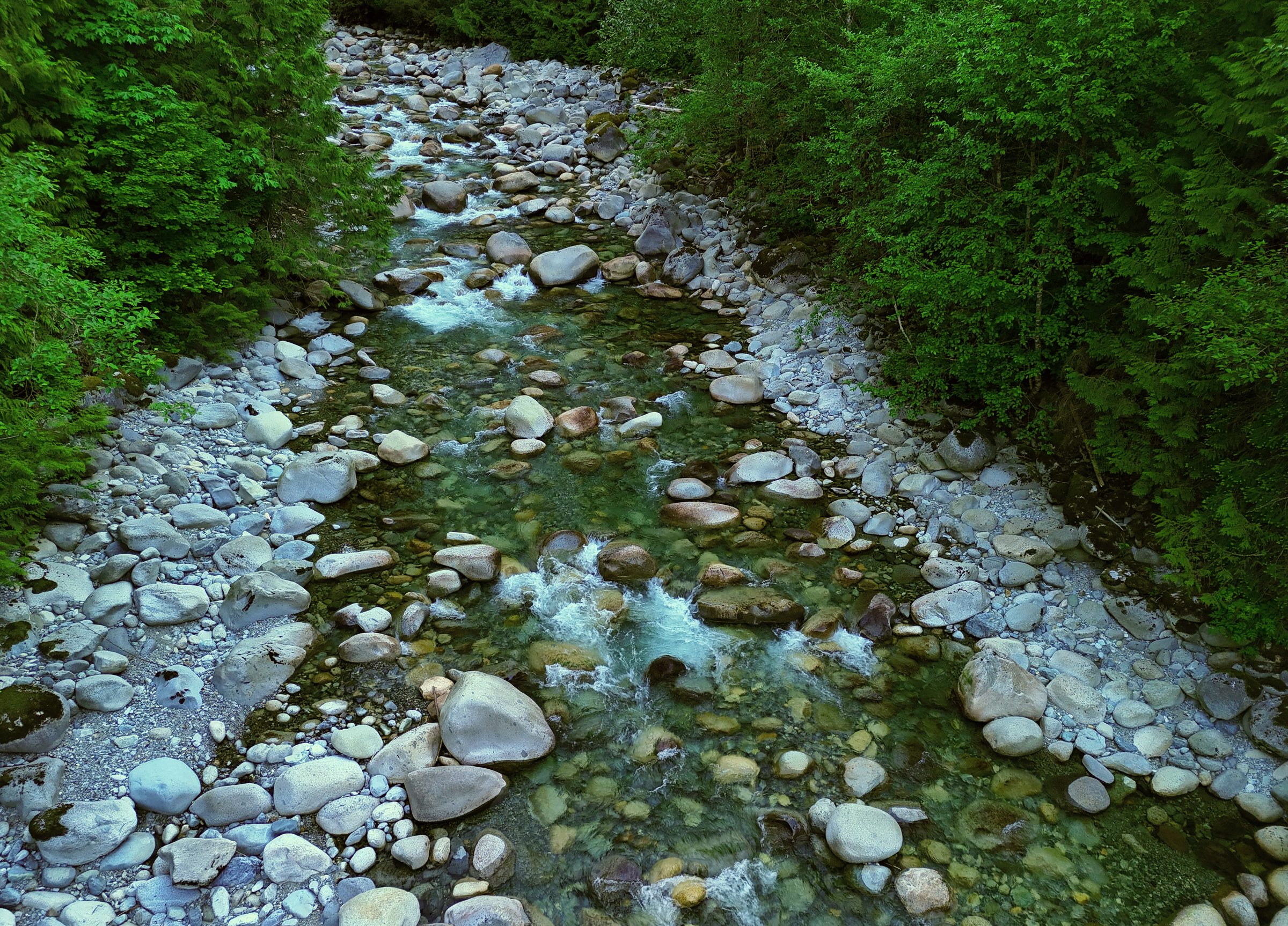 Creek flowing over mossy rocks