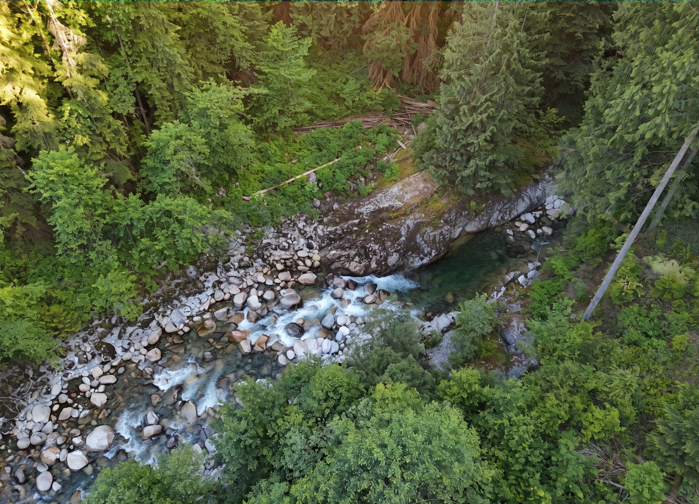 A quiet stretch of creek