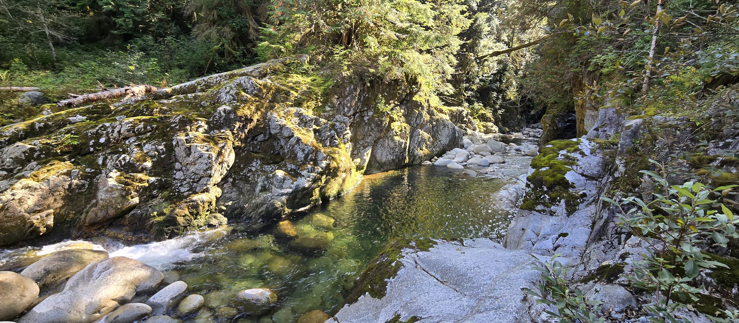 Natural swimming hole on the property
