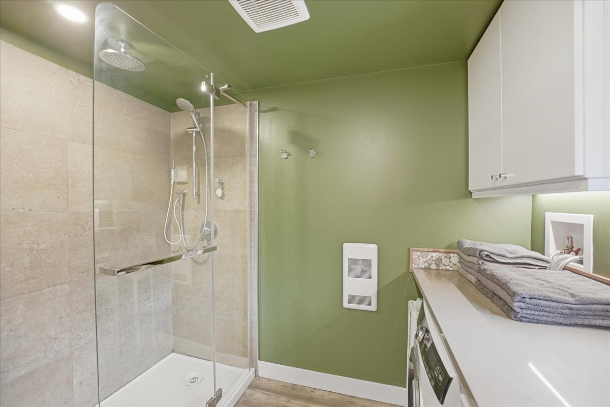 Main floor bathroom shower