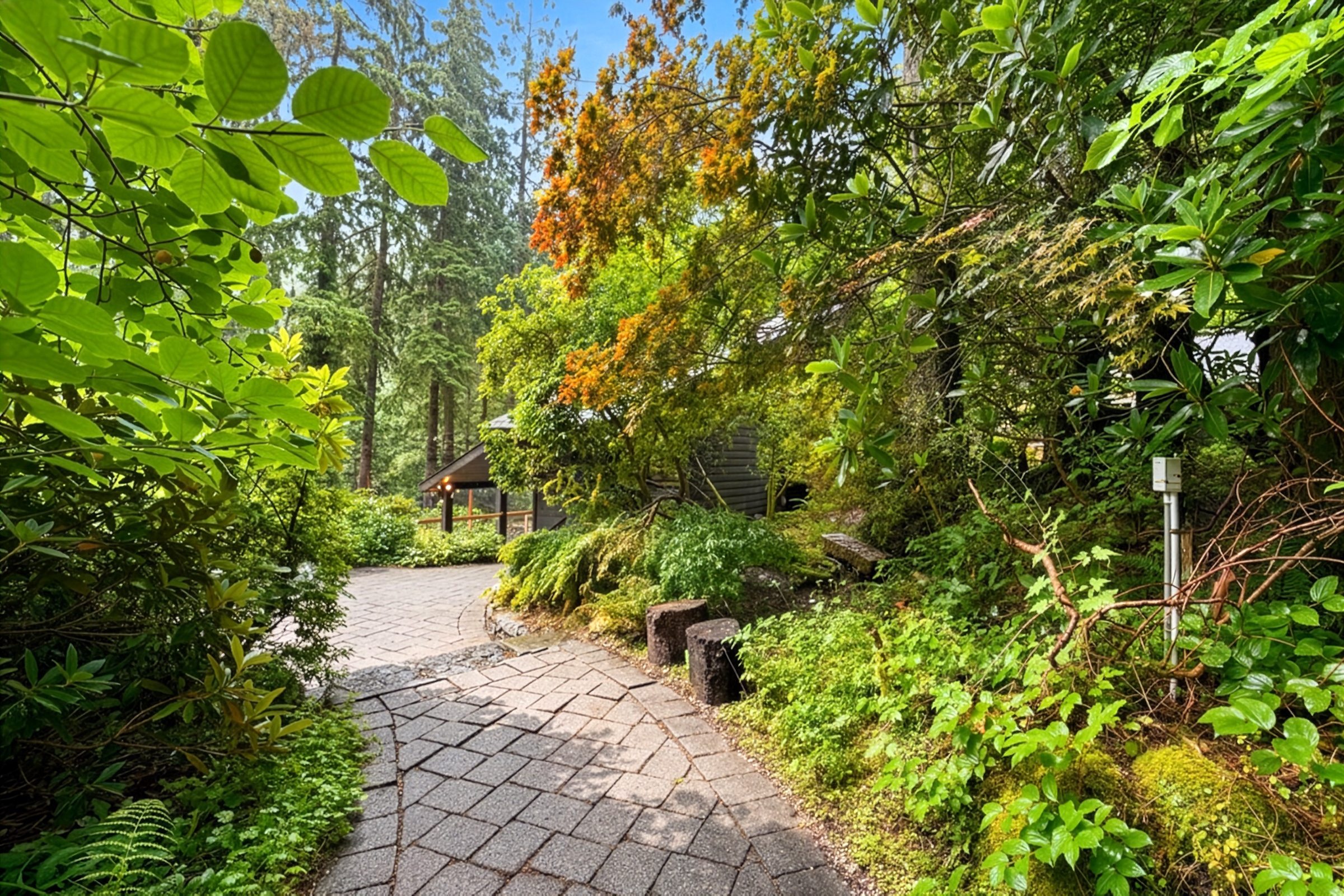 Garden path through lush planting