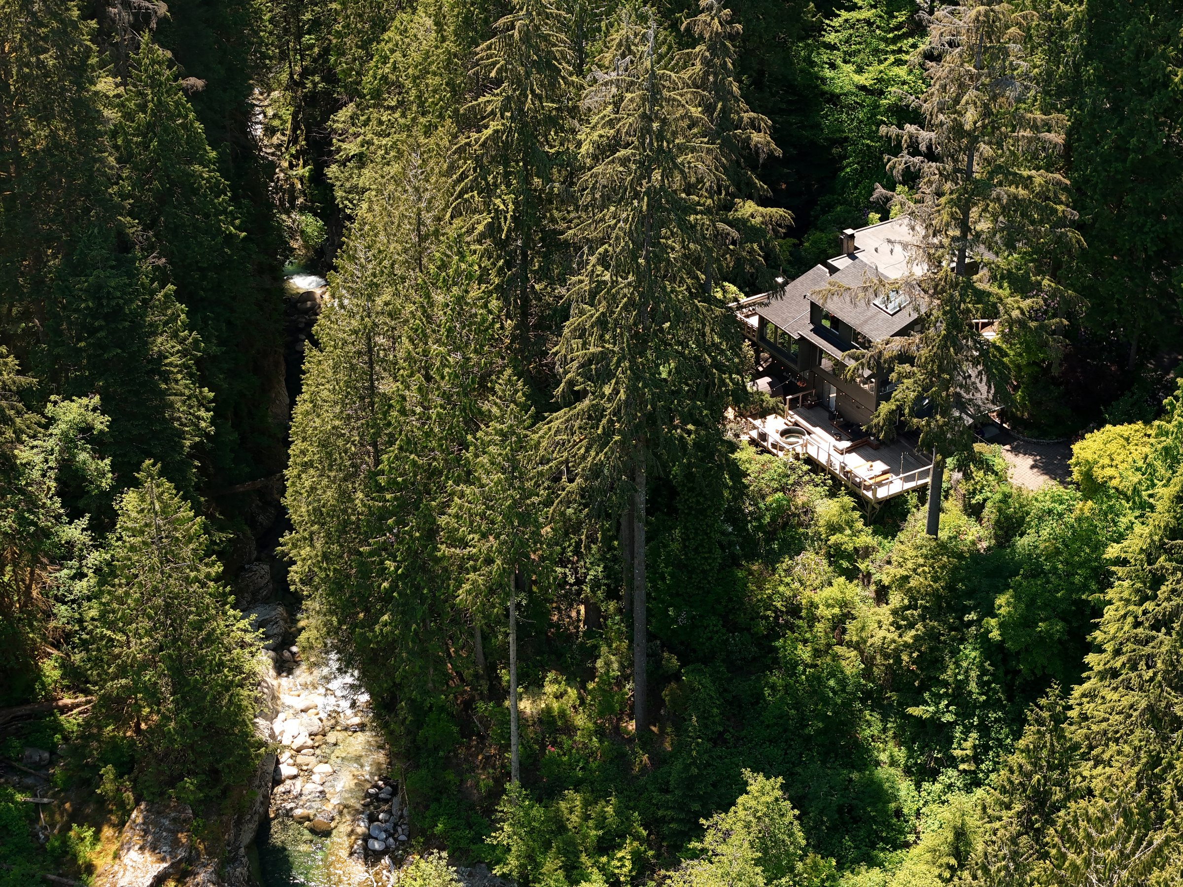 Overview of the house and surrounding forest