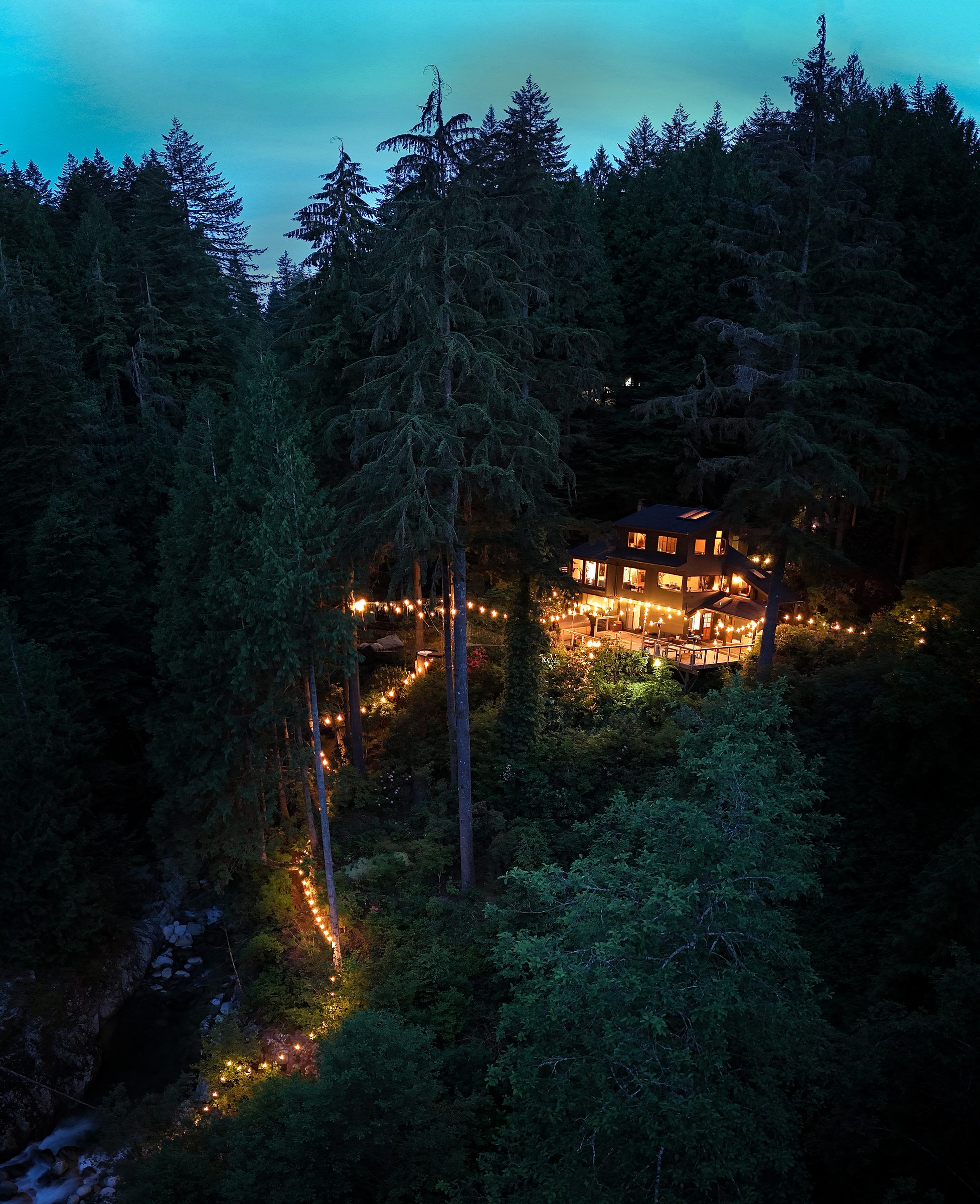 Aerial overview of the wooded property
